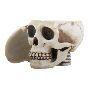 Skull Box