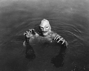 Creature From The Black Lagoon Photo